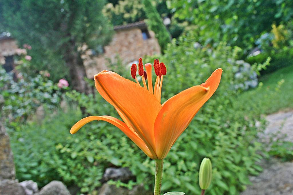 Finca El Carpintero Jerte Dış mekan fotoğraf